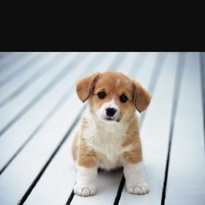 Meet your Posher, Margaret